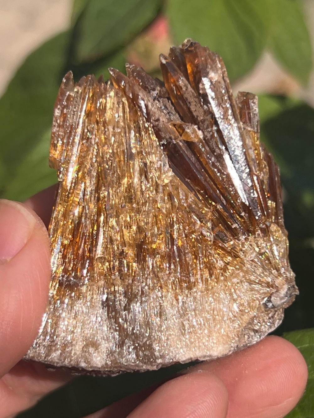 Amber (3) calcite specimen | Crystal